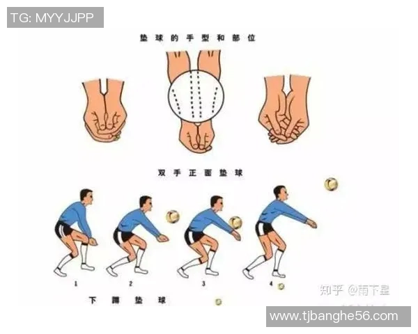 排球新手必看:提升灵活性的全面入门攻略与实用技巧分享