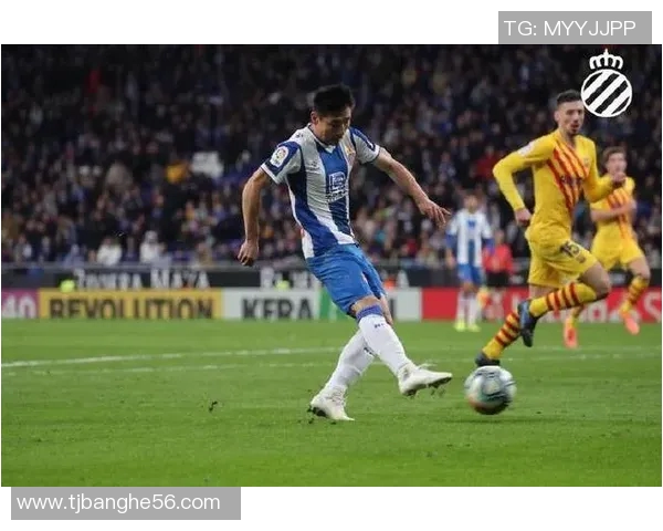 曾经西班牙足球明星的辉煌岁月与传奇故事回顾