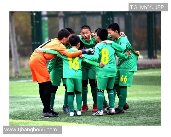 西安足球队的奋斗历程与荣耀时刻全景纪实